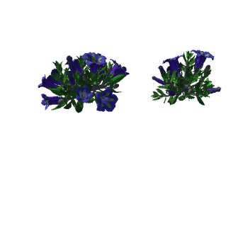 Flower_Gentiana Acaulis1_1